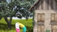Project_image_Futar0004-e1466175033872